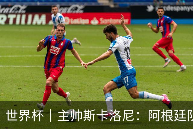 世界杯｜主帅斯卡洛尼：阿根廷队不自大也不自卑